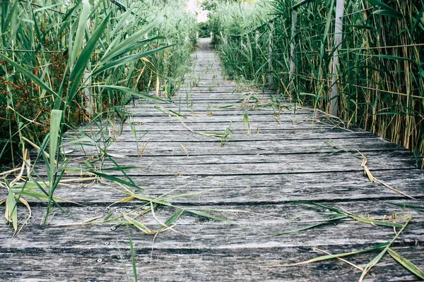 Fransa'da Reims yakınındaki zemin seviyesinden ahşap köprü görünümü