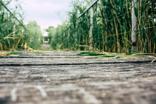 Fransa'da Reims yakınındaki zemin seviyesinden ahşap köprü görünümü