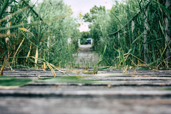 Fransa'da Reims yakınındaki zemin seviyesinden ahşap köprü görünümü