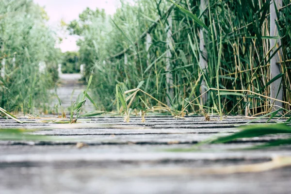 Fransa'da Reims yakınındaki zemin seviyesinden ahşap köprü görünümü