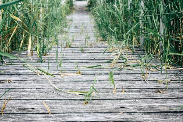 Weergave Van Een Houten Brug Vanaf Begane Grond Buurt Van — Stockfoto