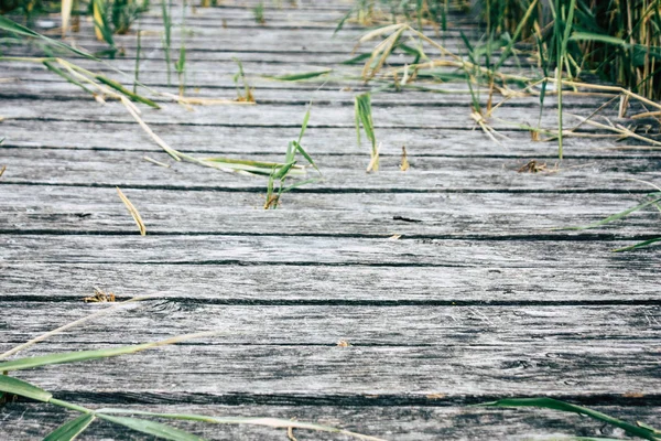 Fransa'da Reims yakınındaki zemin seviyesinden ahşap köprü görünümü