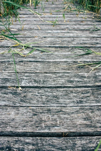 Weergave Van Een Houten Brug Vanaf Begane Grond Buurt Van — Stockfoto