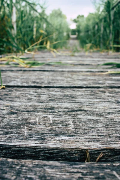 Weergave Van Een Houten Brug Vanaf Begane Grond Buurt Van — Stockfoto