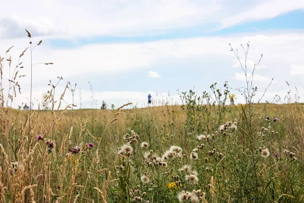 Doğa ve manzara Reims Fransa çevresinde bulutlu gökyüzü görünümü