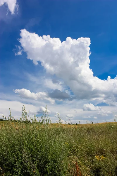Doğa ve manzara Reims Fransa çevresinde bulutlu gökyüzü görünümü