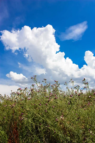 Doğa ve manzara Reims Fransa çevresinde bulutlu gökyüzü görünümü