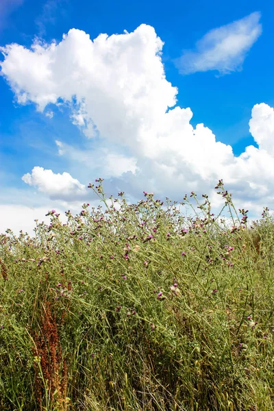 Doğa ve manzara Reims Fransa çevresinde bulutlu gökyüzü görünümü