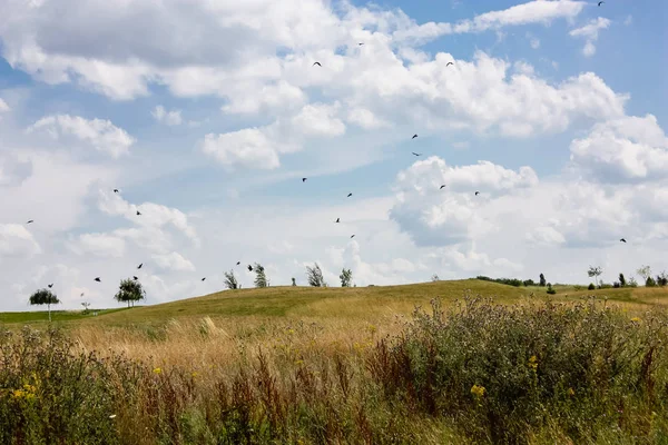 Doğa ve manzara Reims Fransa çevresinde bulutlu gökyüzü görünümü
