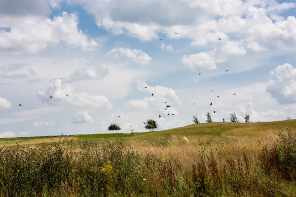 Doğa ve manzara Reims Fransa çevresinde bulutlu gökyüzü görünümü
