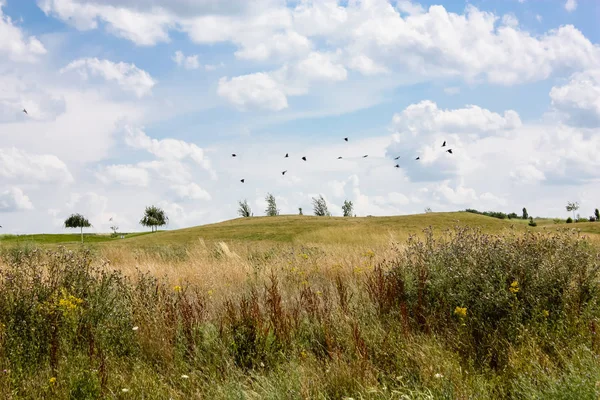 Doğa ve manzara Reims Fransa çevresinde bulutlu gökyüzü görünümü
