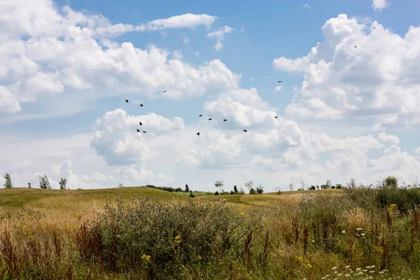 Doğa ve manzara Reims Fransa çevresinde bulutlu gökyüzü görünümü