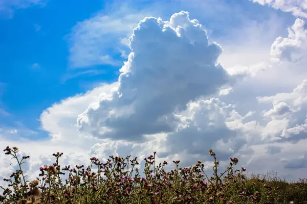 Doğa ve manzara Reims Fransa çevresinde bulutlu gökyüzü görünümü