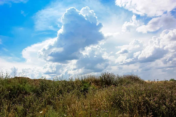 Doğa ve manzara Reims Fransa çevresinde bulutlu gökyüzü görünümü