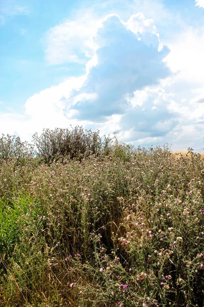 Doğa ve manzara Reims Fransa çevresinde bulutlu gökyüzü görünümü