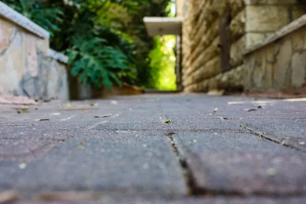 Kudüs İsrail 09 Haziran 2018 zemin seviyesine öğleden sonra Kudüs'ün sokak görünümü