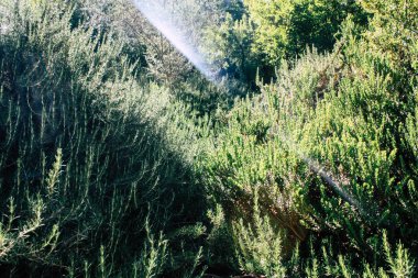 Teddy park bahçe ve Çeşme Kudüs İsrail görünümü