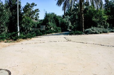 Teddy park bahçe ve Çeşme Kudüs İsrail görünümü