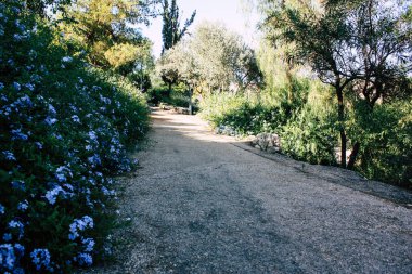 Teddy park bahçe ve Çeşme Kudüs İsrail görünümü