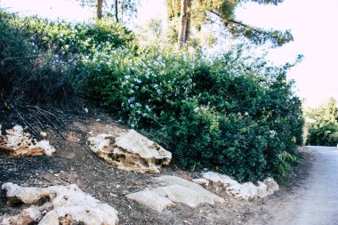 Teddy park bahçe ve Çeşme Kudüs İsrail görünümü