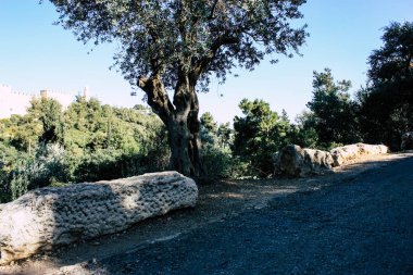 Teddy park bahçe ve Çeşme Kudüs İsrail görünümü