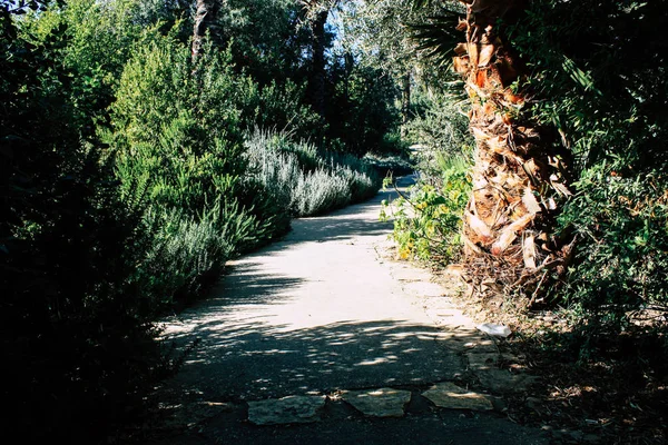 Teddy park bahçe ve Çeşme Kudüs İsrail görünümü