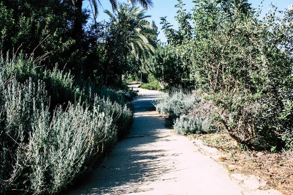 Vista Sul Giardino Sulla Fontana Del Teddy Park Gerusalemme Israele — Foto Stock