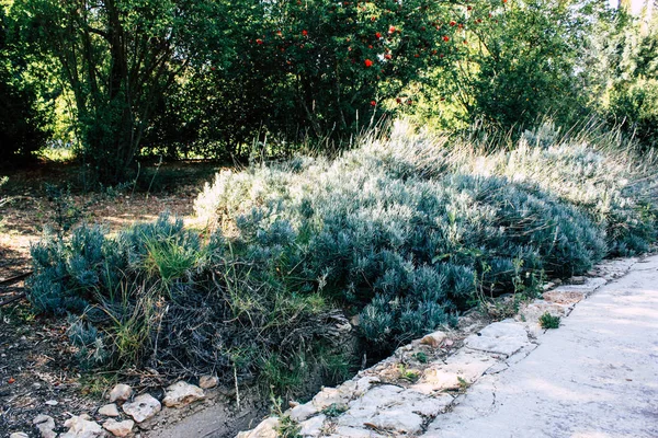 Blick Auf Den Teddypark Garten Und Brunnen Jerusalem Israel — Stockfoto