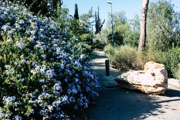 Vista Del Jardín Del Parque Peluche Fuente Jerusalén Israel — Foto de Stock