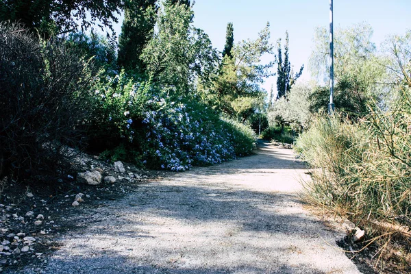 Vista Sul Giardino Sulla Fontana Del Teddy Park Gerusalemme Israele — Foto Stock