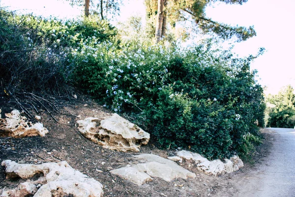 Teddy park bahçe ve Çeşme Kudüs İsrail görünümü