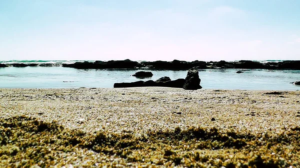 Vue Une Plage Sauvage Israël — Photo