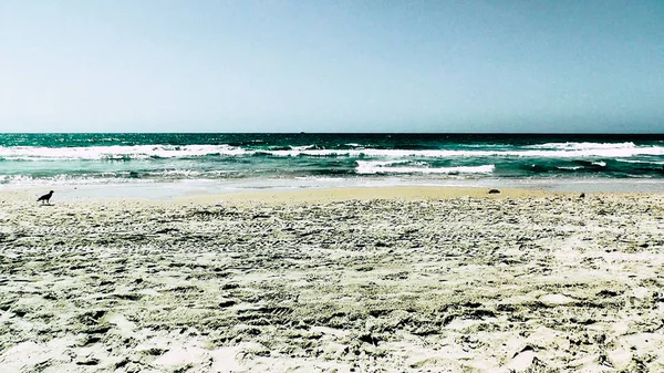 Vista Una Playa Salvaje Israel — Foto de Stock