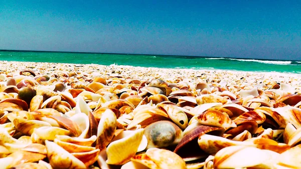 Вид Дикому Пляжі Ізраїлі — стокове фото