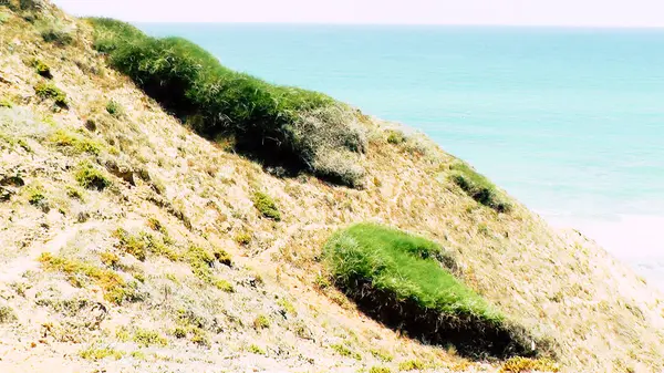 Vista Uma Praia Selvagem Israel — Fotografia de Stock