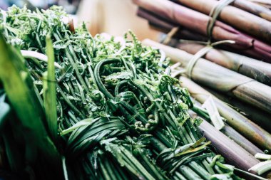 Katmandu Nepal 21 Ağustos 2018 çeşitli sebze Closeup sabah piyasada Katmandu Thamel sokakta satılan