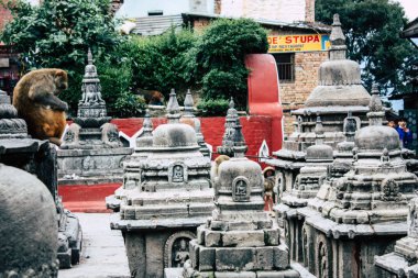 Katmandu Nepal 23 Ağustos 2018 siyah stupa görünümünü akşam Kathmandu maymun Tapınağı Swayambhunath alanının üst kısmında bulunan