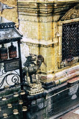  Katmandu Nepal 23 Ağustos 2018 Buda stupa Closeup akşam üst kısmında Swayambhunath alan Kathmandu maymun tapınakta bulunan