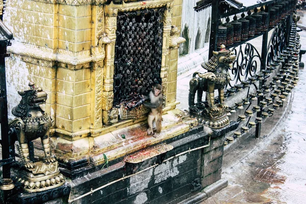 Katmandou Népal Août 2018 Gros Plan Stupa Bouddha Situé Sommet — Photo