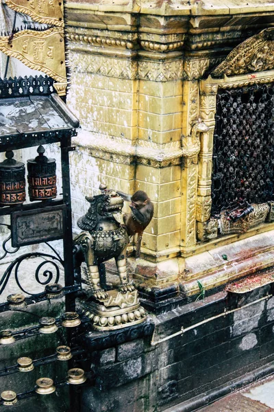 Kathmandu Nepál Srpna 2018 Closeup Buddha Stúpa Umístěným Horní Části — Stock fotografie