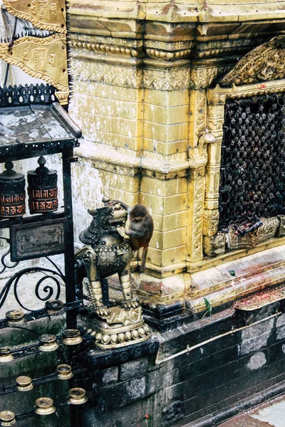 Kathmandu Nepal Agosto 2018 Fechar Estupa Buda Localizada Topo Templo — Fotografia de Stock