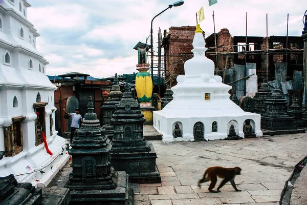 Katmandu Nepal Ağustos 2018 Katmandu Swayambhunath Alanında Akşam Maymun Tapınakta — Stok fotoğraf