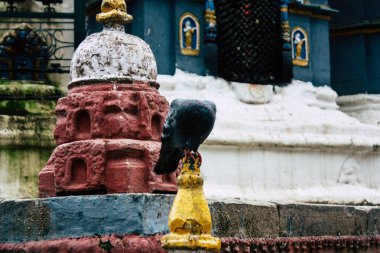 Katmandu Nepal 24 Ağustos 2018 Shree Gha Stupa tapınak uçan güvercinler görünümünü bulunan Naghal bölgesinde sabah Kathmandu Thamel ve Durbar Meydanı arasında