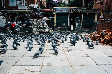 Katmandu Nepal 24 Ağustos 2018 Shree Gha Stupa tapınak uçan güvercinler görünümünü bulunan Naghal bölgesinde sabah Kathmandu Thamel ve Durbar Meydanı arasında