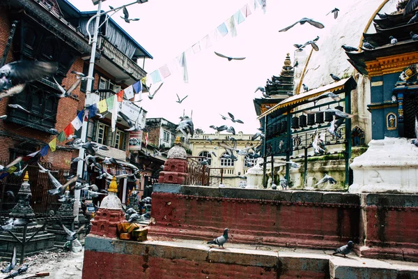 2018 日ネパール カトマンズ シュリー Gha 仏舎利塔寺の周りに飛んでハトのビューが午前中にカトマンズのタメルとダルバール広場間 Naghal 地区に位置します — ストック写真