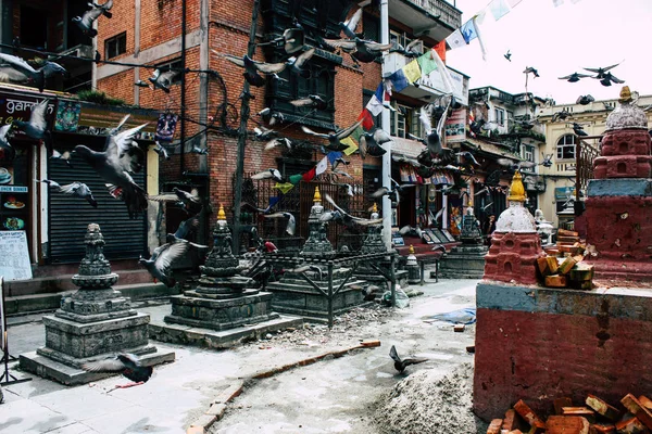 Kathmandu Nepal Agosto 2018 Vista Pombos Voando Redor Templo Shree — Fotografia de Stock