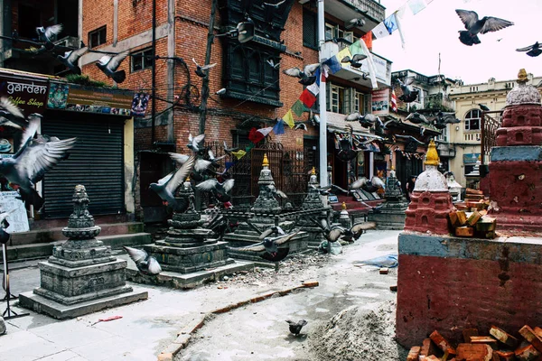 Катманду Непал Серпня 2018 Подання Голуби Літати Навколо Храму Ступа — стокове фото