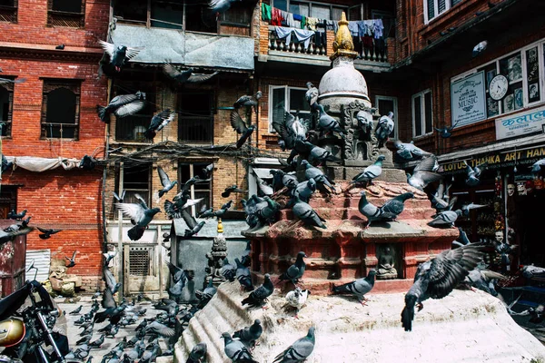 Katmandú Nepal Agosto 2018 Vista Palomas Volando Alrededor Del Templo — Foto de Stock