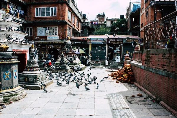 Katmandu Nepal Ağustos 2018 Shree Gha Stupa Tapınak Uçan Güvercinler — Stok fotoğraf