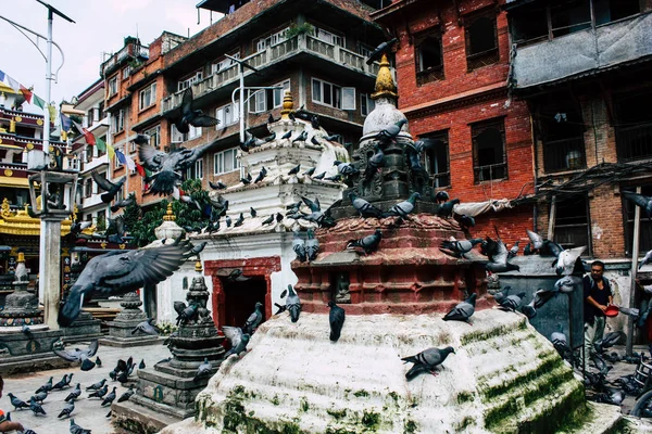Kathmandu Nepal Agosto 2018 Vista Pombos Voando Redor Templo Shree — Fotografia de Stock